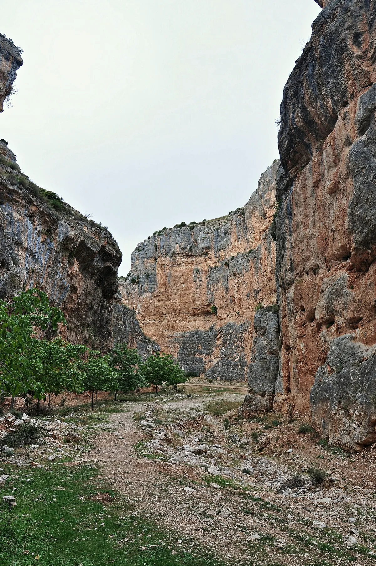 Jaraba